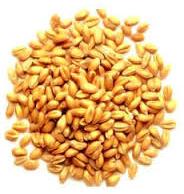 Certified Wheat Seed, For AGRICULTURE, Packaging Type : Plastic Bag