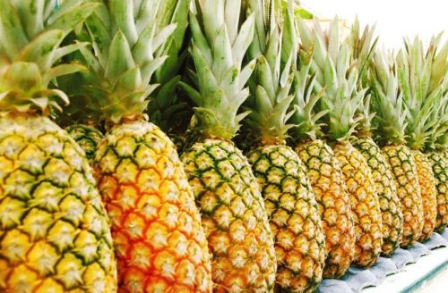 Natural fresh pineapple, Packaging Size : 5kg, 10kg, 15kg, 30kg