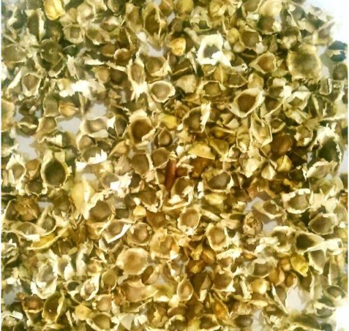 Dried Moringa Seed