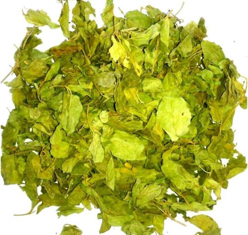 Gymnema Sylvestre (sirukurinjan)