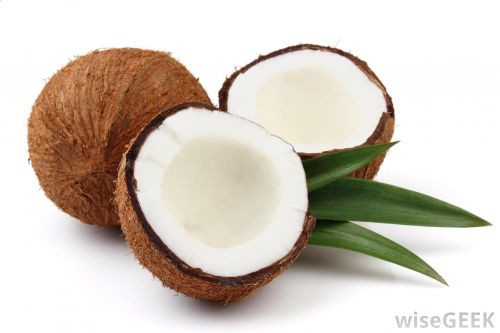 Coconut 12 to 15 Inch