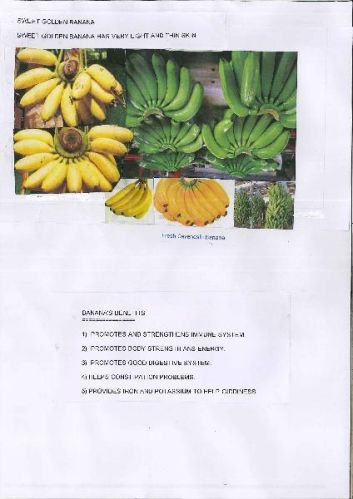 Fresh fruits, Brand Name : TROPICAL BANANAS, Packaging Type : green
