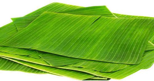 Fresh Banana Leaf