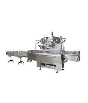 Wafer Packing Machine