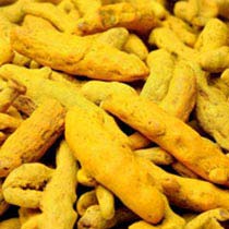 Organic Turmeric Finger, Color : Yellow