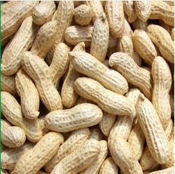 Groundnut Shelled, Packaging Type : 50kg