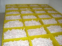Grade A Processed Frozen Chicken Paws, Brand Name : SEARA