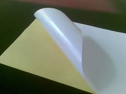 Cast Coated Papers