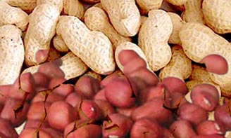 Groundnuts