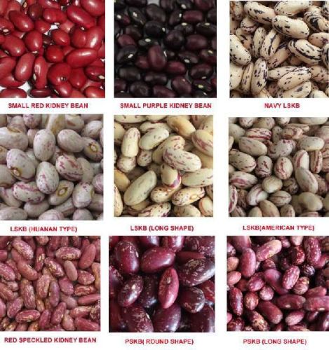 Dried Beans, Kinds Of Beans