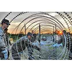 Galvanized Barbed Wire