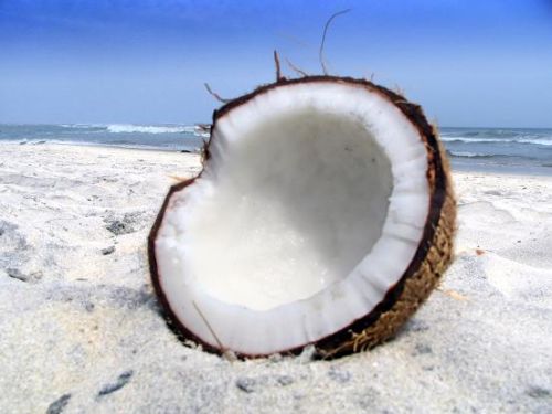 Coconut Form : Solid