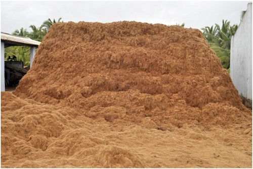 Coir pith Form : Powder