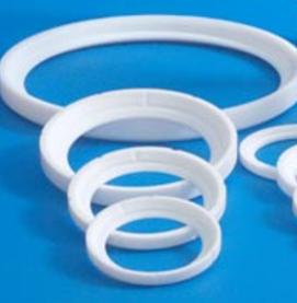 TEFLON PTFE LIP SEALS