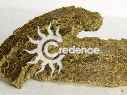 Cotton Seed Oil Cake, Packaging Type : HDPE Bag