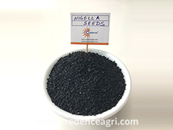 Nigella Seeds