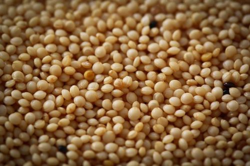 Amaranth Seeds, Packaging Type : PP Beg, 100kg/ PP Bag, 30gms