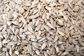 Sunflower Seed Kernels, Purity : 95%