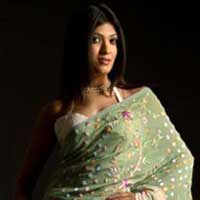 Parsi Embroidery Work Georgette Saree