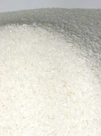 Non Basmati Rice