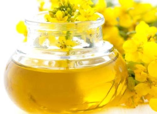 Mustard Flower Honey, Feature : Digestive, Energizes The Body, Freshness, Longer Shelf Life, Optimum Purity