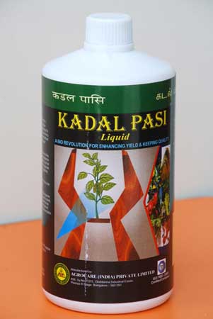 Plant Growth Enhancer (Kadal Pasi Liquid)