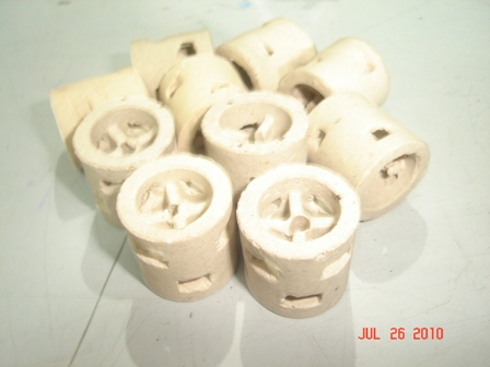 Ceramic Pall Ring