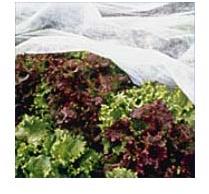 Garden Fleece Fabrics