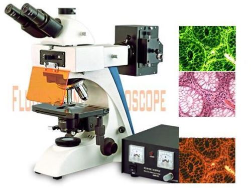 MV-BK-FL Fluorescence Microscope