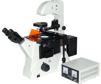 Mv-xdy-2 Fluorescence Microscope