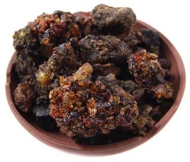 Commiphora Mukul, Guggul