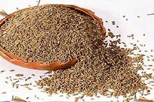 Cumin seeds, Shelf Life :1 Year