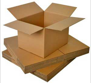 Corrugated Packaging Box