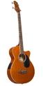 Double Non Polished HDPE Acoustic Bass Guitar, For Playing, Size : 30inch, 32inch, 34inch, 36inch