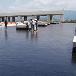 Bituminous Waterproof Coating