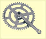 Bicycle Chain Wheel