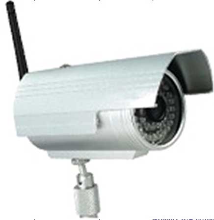 IP Cameras