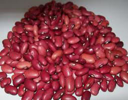 Kidney beans, Packaging Type : Red for Cooking