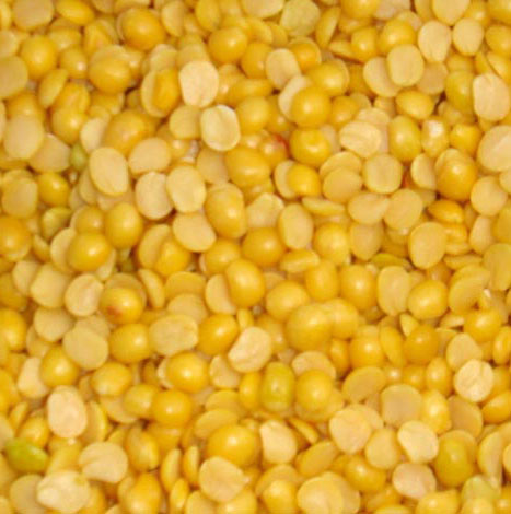 Toor dal, Packaging Type : Yellow for Human Consumption
