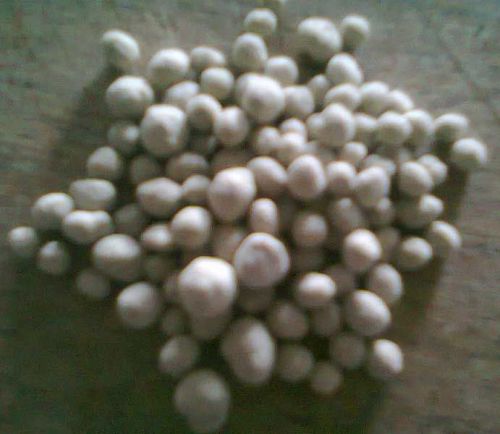 Bio Organic Granular Fertilizer