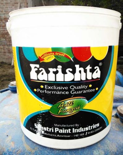 Anti Fungal Paint