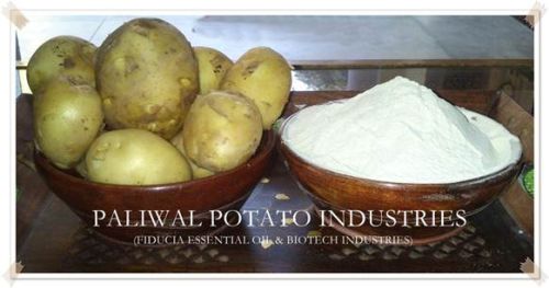 Potato Powder