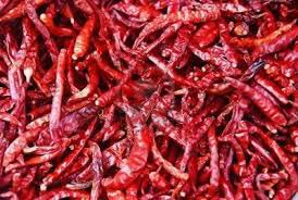 Dried Red Chilli