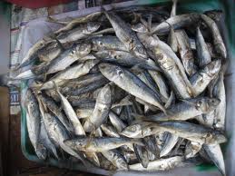 Dry Fish