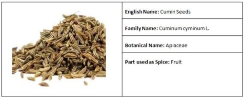 Cumin Seeds