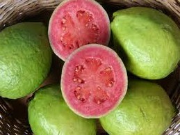 Pink Guava Pulp