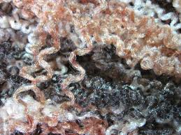 Polyester Shaggy Yarn