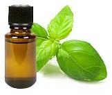 Basil Oil