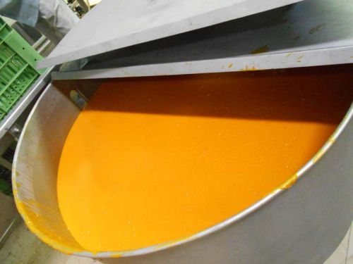 Totapuri mango pulp