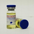 Bolden Boldenone Undecylenate